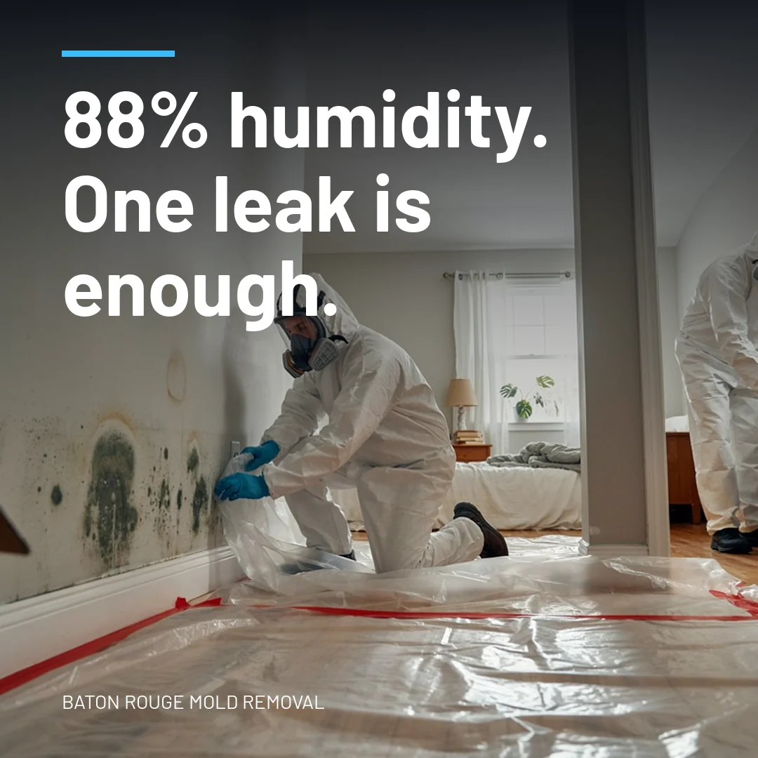 88% humidity. One leak is enough.