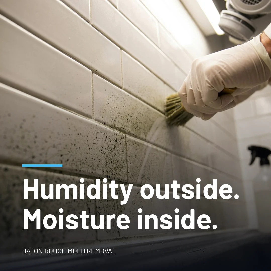 Humidity outside. Moisture inside.