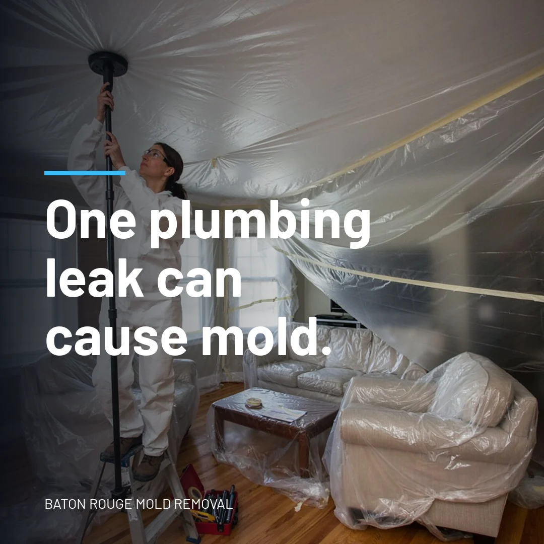 One plumbing leak can cause mold.